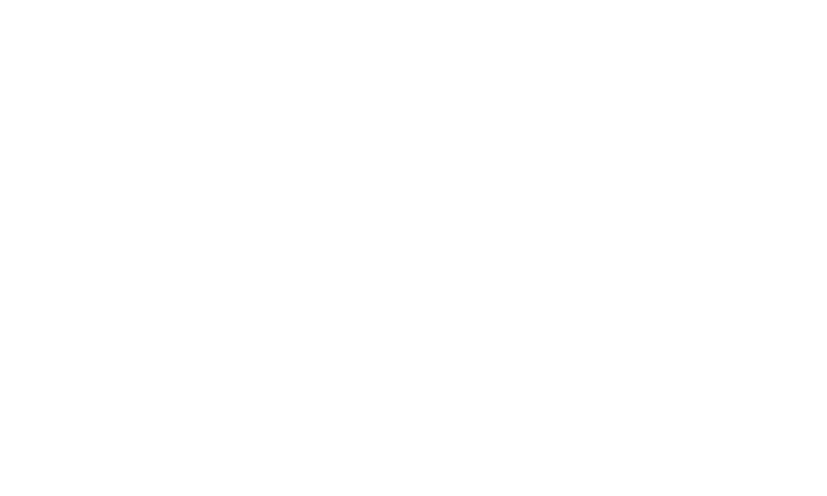 Logo de Wallvision en blanc